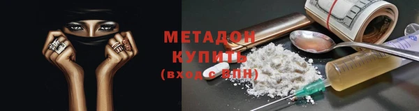 сатива Гусь-Хрустальный