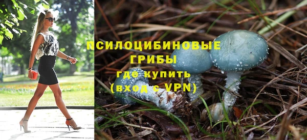 2c-b Гусев