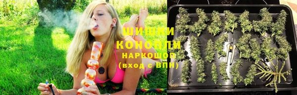 2c-b Гусев