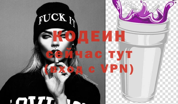 2c-b Гусев