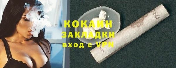 сатива Гусь-Хрустальный